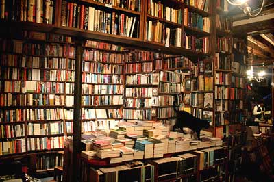 点击进入下一页 点击进入下一页